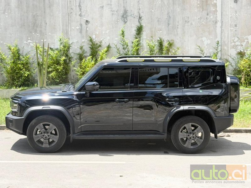 Jetour T2