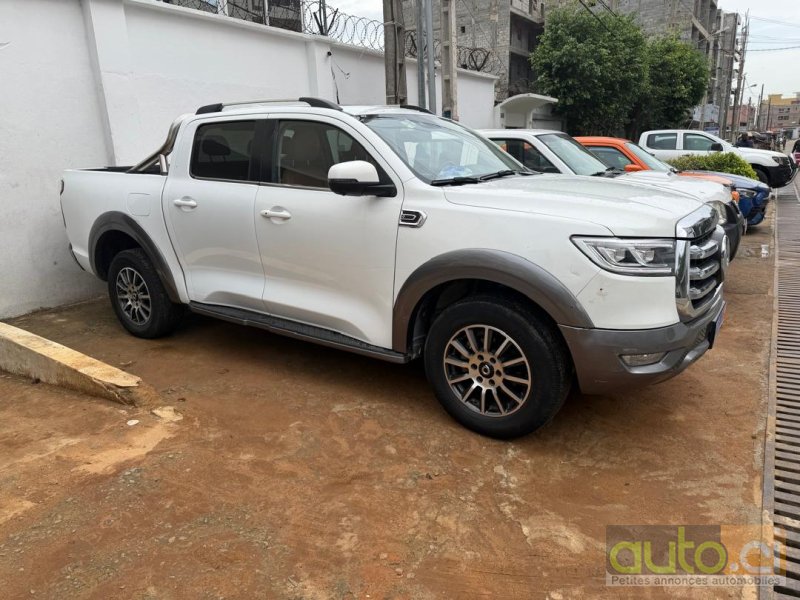 Great Wall Poer