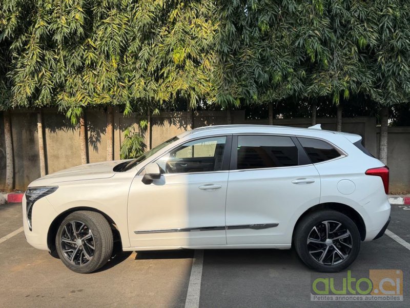 Photo 6 AUTO.CI : Haval Jolion 2.0